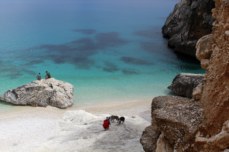 2016-04-23_115709 sardinien-2016.jpg - Wanderung zur Cala Goloritze